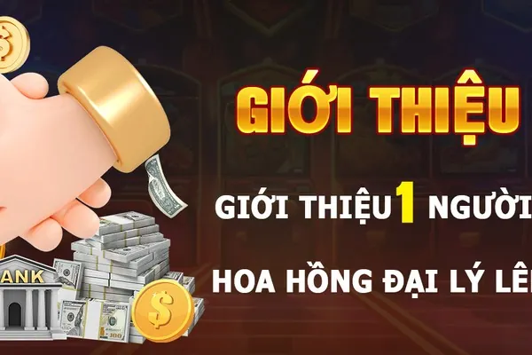 Chương trình VIP và phần thưởng cho thành viên thân thiết