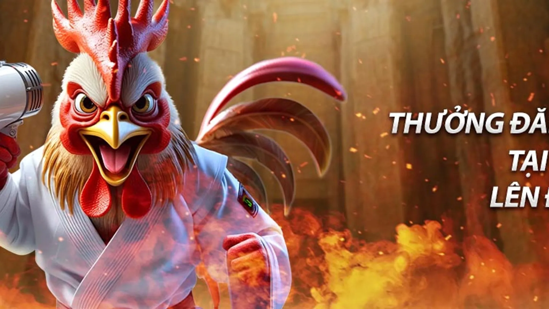 Hình ảnh ưu đãi lớn tại 13win1 và 13win12